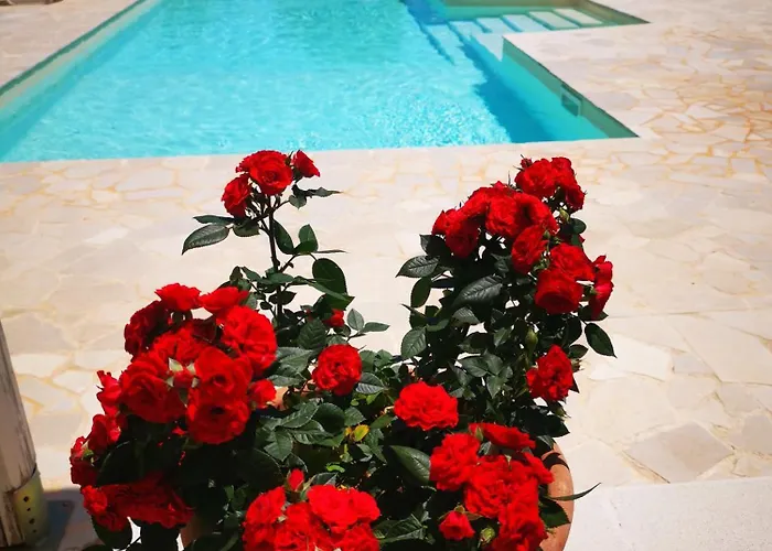 Villa Primavera, Con Uso Di Piscina *